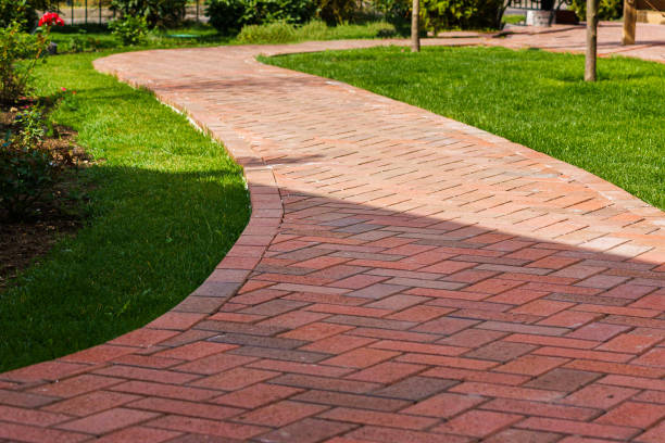Best Driveway Paving Near Me  in Shiprock, NM
